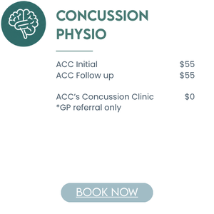 Concussion physio